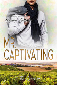 Mr. Captivating - Lisa Torberg - E-Book
