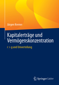 Kapitalerträge und Vermögenskonzentration - Jürgen Kremer - E-Book