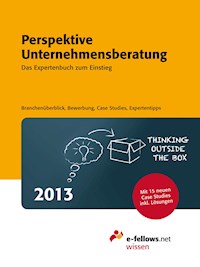 Perspektive Unternehmensberatung 2013 -  - E-Book