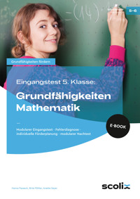 Eingangstest 5. Kl.: Grundfähigkeiten Mathematik - Hanna Passeck - E-Book