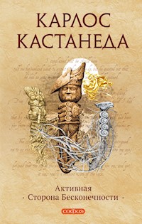 Активная сторона Бесконечности - Карлос Кастанеда - E-Book