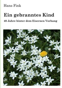 Ein gebranntes Kind - Hans Fink - E-Book