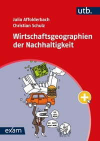 Wirtschaftsgeographien der Nachhaltigkeit - Julia Affolderbach - E-Book