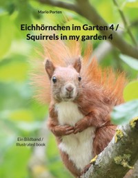 Eichhörnchen im Garten 4 / Squirrels in my garden 4 - Mario Porten - E-Book