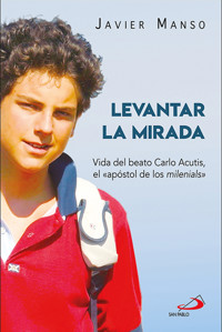 Levantar la mirada - Javier Manso Osuna - E-Book