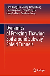 Dynamics of Freezing-Thawing Soil around Subway Shield Tunnels - Zhen-Dong Cui - E-Book