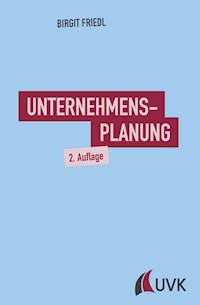 Unternehmensplanung - Birgit Friedl - E-Book