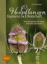 Heilpflanzen. Signatur und Botschaft - Ritter Claudia - E-Book