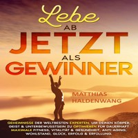 Lebe ab jetzt als Gewinner - Matthias Haldenwang - Hörbuch