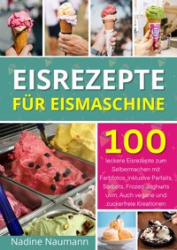 Eisrezepte für Eismaschine - Sofia Helbauer - E-Book
