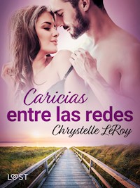 Caricias entre las redes – una novela erótica - Chrystelle LeRoy - E-Book