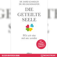 Die geteilte Seele - Wie wir eins mit uns werden (Ungekürzt) - Shird Schindler - Hörbuch