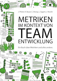 Metriken im Kontext von Teamentwicklung - Juliane Pilster - E-Book