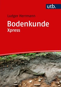 Bodenkunde Xpress - Ludger Herrmann - E-Book