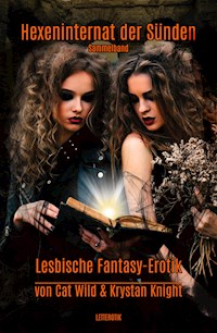Hexeninternat der Sünden - Krystan Knight - E-Book