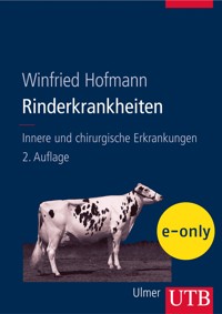 Rinderkrankheiten - Winfried Hofmann - E-Book