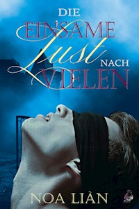 Die einsame Lust nach vielen - Noa Liàn - E-Book