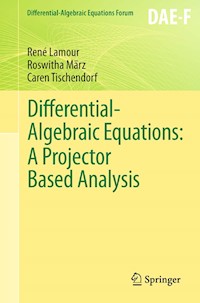 Differential-Algebraic Equations: A Projector Based Analysis - René Lamour - E-Book
