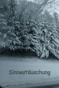 Sinnestäuschung - O. Trilling - E-Book