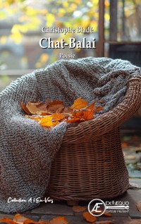 Chat-balai - Christophe Bladé - E-Book