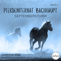 Septembersturm - Christine Rödl - Hörbuch