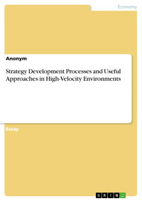 Strategy Development Processes and Useful Approaches in High-Velocity Environments -  - E-Book