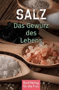 Salz - Katharina Kleinschmidt - E-Book