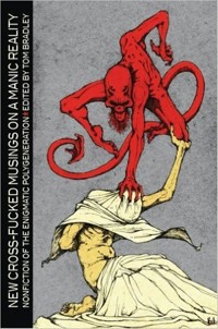 New Cross-Fucked Musings on a Manic Reality -  - E-Book