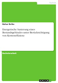 Energetische Sanierung eines Bestandsgebäudes unter Berücksichtigung von Kosteneffizienz - Bahar Belke - E-Book