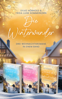 Die Winterwunder - Frida Luise Sommerkorn - E-Book