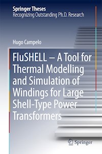 FluSHELL – A Tool for Thermal Modelling and Simulation of Windings for Large Shell-Type Power Transformers - Hugo Campelo - E-Book
