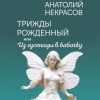 Трижды рожденный, или Из гусеницы в бабочку - Анатолий  Некрасов - Hörbuch