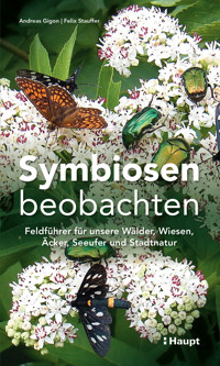 Symbiosen beobachten - Andreas Gigon - E-Book