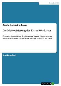 Die Ideologisierung des Ersten Weltkriegs - Carola Katharina Bauer - E-Book