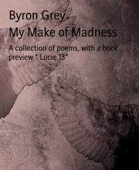 My Make of Madness - Byron Grey - E-Book