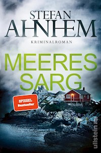 Meeressarg - Stefan Ahnhem - E-Book