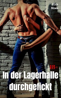 In der Lagerhalle durchgefickt - Kira Moes - E-Book