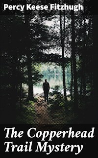 The Copperhead Trail Mystery - Percy Keese Fitzhugh - E-Book