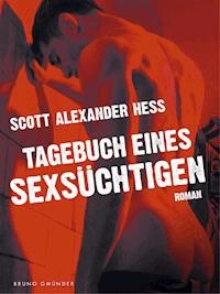 Tagebuch eines Sexsüchtigen - Scott Alexander Hess - E-Book