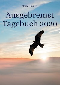 Ausgebremst Tagebuch 2020 - Tine Braun - E-Book