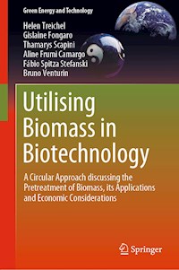 Utilising Biomass in Biotechnology - Helen Treichel - E-Book