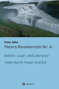 Peters Reisebericht Nr. 4 - Peter Alles - E-Book