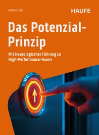Das Potenzial-Prinzip - Marcus Hein - E-Book
