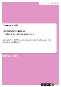 Erdbebenrisiken in Großstadtagglomerationen - Thomas Schöll - E-Book