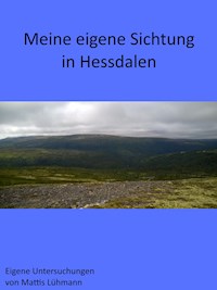 Meine eigene Sichtung in Hessdalen - Mattis Lühmann - E-Book