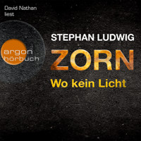 Wo kein Licht - Zorn, Band 3 (Autorisierte Lesefassung) - Stephan Ludwig - Hörbuch