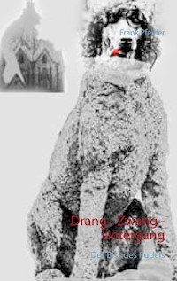 Drang - Zwang - Untergang - Frank Pfeiffer - E-Book