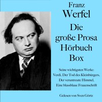 Franz Werfel: Die große Prosa Hörbuch Box - Franz Werfel - Hörbuch