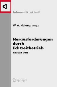 Herausforderungen durch Echtzeitbetrieb -  - E-Book