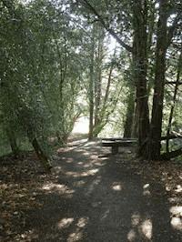 Der ungewöhnliche Blindenhund - null Orkania - E-Book